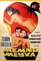 Memnu Meyva (Dul Kadin) Yeşilçam Sex Filmi Sansürsuz izle